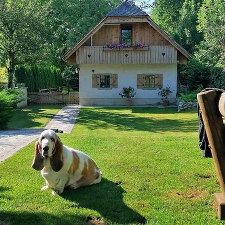 Vila Jana Radovljica Bagian luar foto
