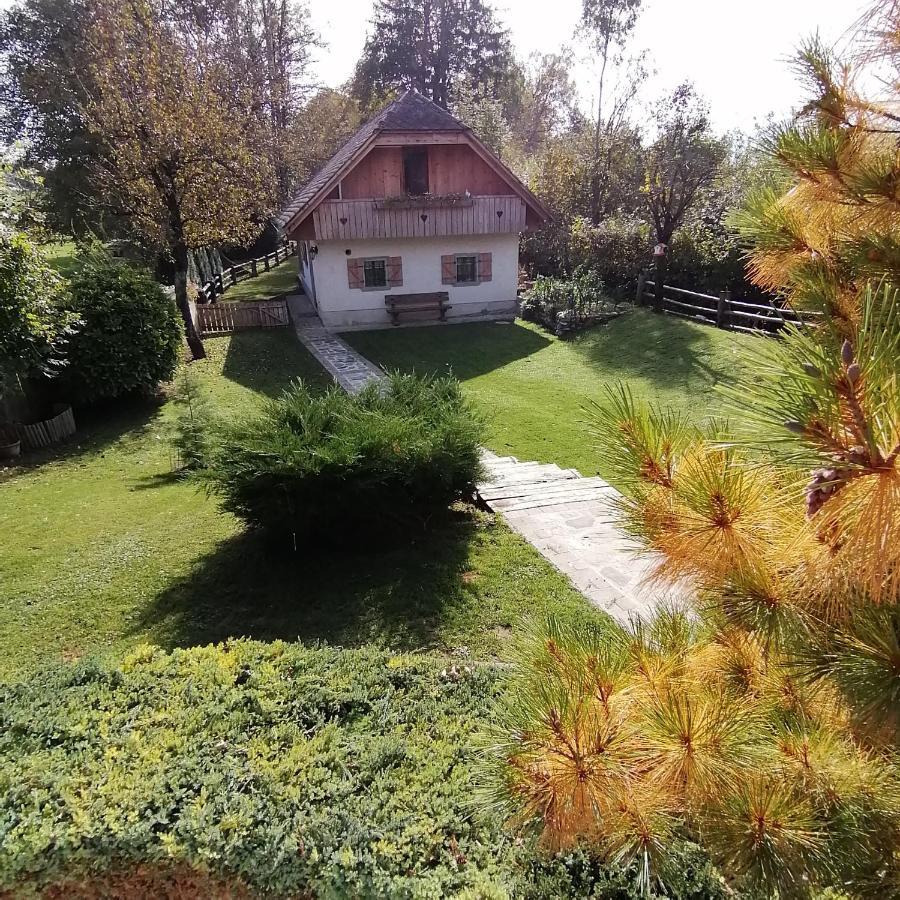 Vila Jana Radovljica Bagian luar foto